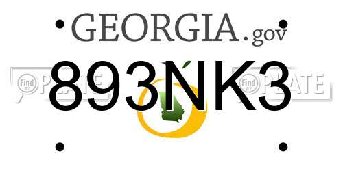 893NK3 Georgia License Plate