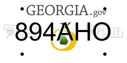 894AHO Georgia License Plate