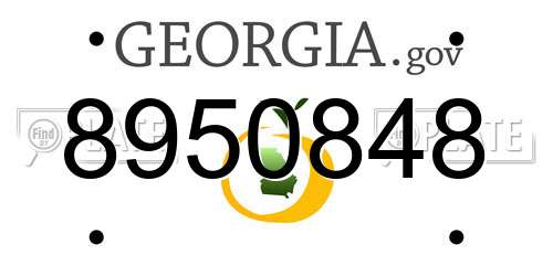 8950848 Georgia License Plate