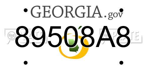 89508A8 Georgia License Plate