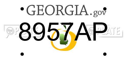 8957AP Georgia License Plate