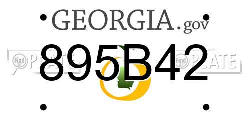 895B42 Georgia License Plate