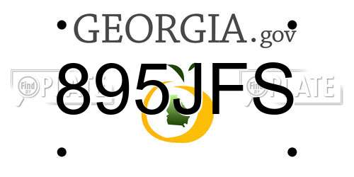 895JFS Georgia License Plate