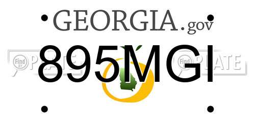 895MGI Georgia License Plate