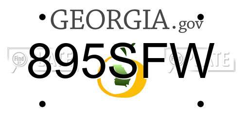 895SFW Georgia License Plate