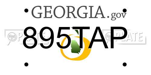 895TAP Georgia License Plate