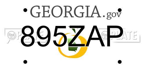 895ZAP Georgia License Plate