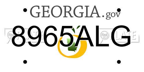 8965ALG Georgia License Plate