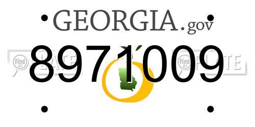 8971009 Georgia License Plate