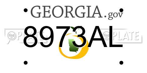 8973AL Georgia License Plate