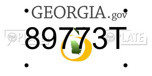 89773T Georgia License Plate
