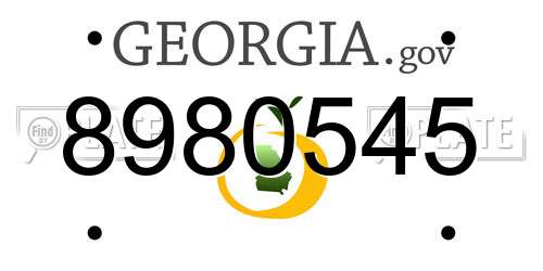 8980545 Georgia License Plate