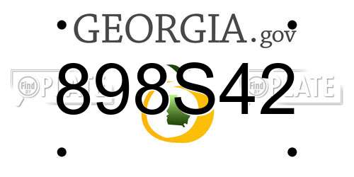 898S42 Georgia License Plate