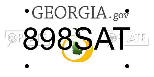 898SAT Georgia License Plate