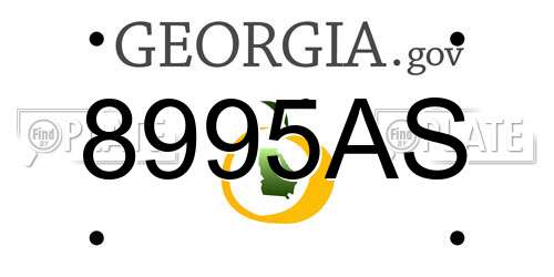 8995AS Georgia License Plate