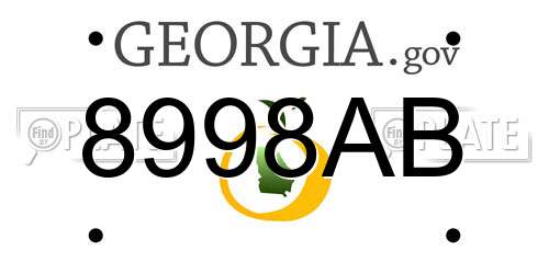 8998AB Georgia License Plate
