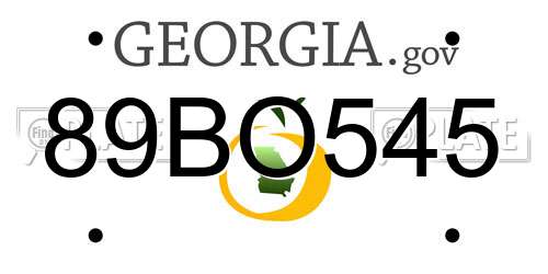 89BO545 Georgia License Plate
