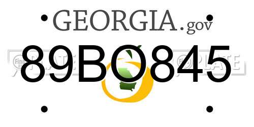 89BO845 Georgia License Plate