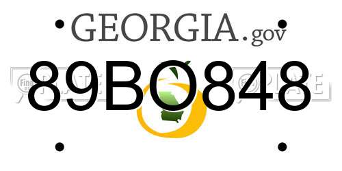 89BO848 Georgia License Plate