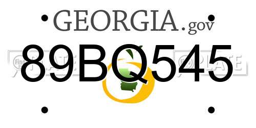 89BQ545 Georgia License Plate