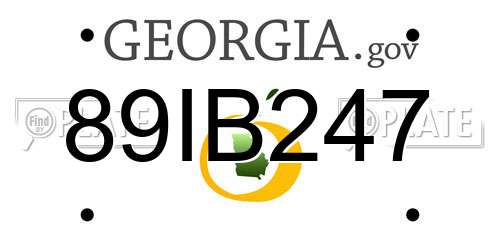 89IB247 Georgia License Plate