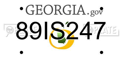 89IS247 Georgia License Plate
