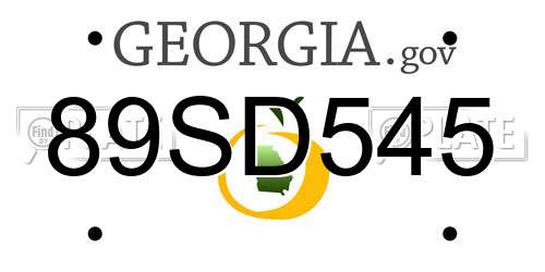 89SD545 Georgia License Plate