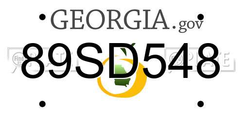 89SD548 Georgia License Plate