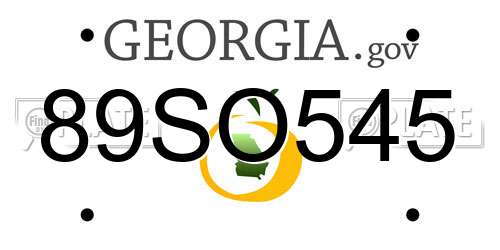 89SO545 Georgia License Plate