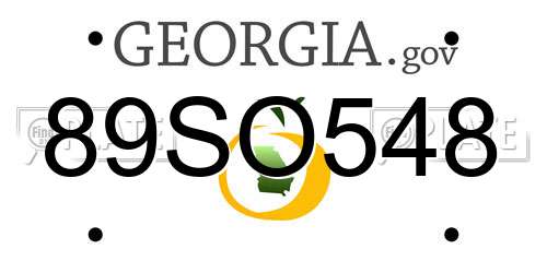 89SO548 Georgia License Plate
