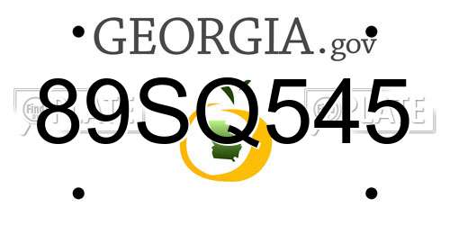 89SQ545 Georgia License Plate