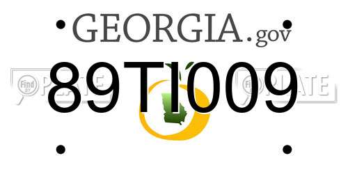 89TI009 Georgia License Plate