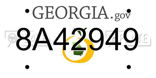 8A42949 Georgia License Plate