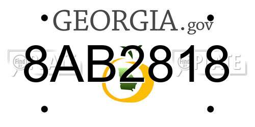 8AB2818 Georgia License Plate
