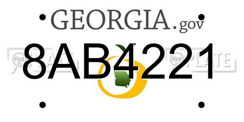 8AB4221 Georgia License Plate