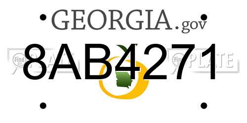 8AB4271 Georgia License Plate