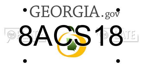 8ACS18 Georgia License Plate