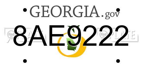 8AE9222 Georgia License Plate