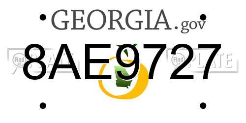 8AE9727 Georgia License Plate