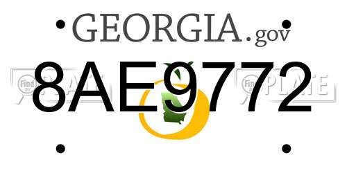 8AE9772 Georgia License Plate
