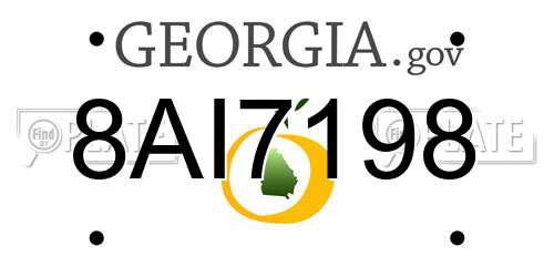 8AI7198 Georgia License Plate