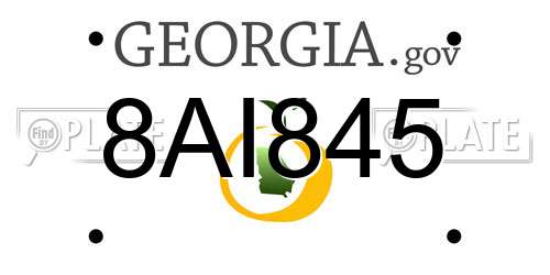 8AI845 Georgia License Plate