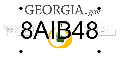 8AIB48 Georgia License Plate