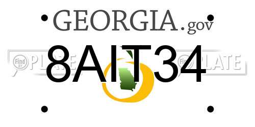 8AIT34 Georgia License Plate