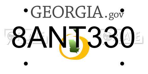 8ANT330 Georgia License Plate