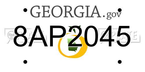 8AP2045 Georgia License Plate