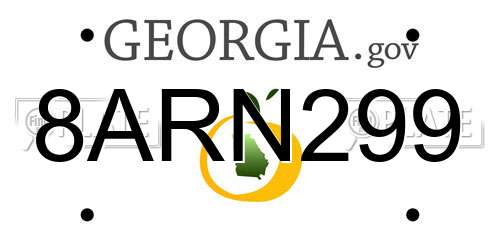 8ARN299 Georgia License Plate
