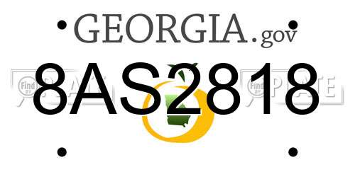 8AS2818 Georgia License Plate
