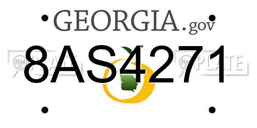 8AS4271 Georgia License Plate
