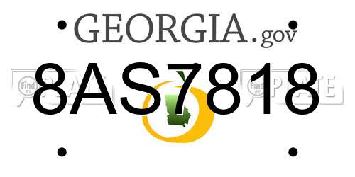 8AS7818 Georgia License Plate